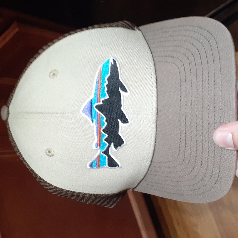 Patagonia hat